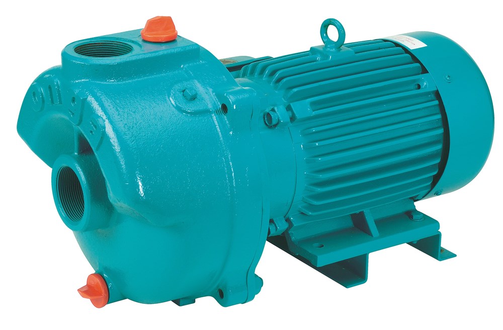 183 BARE SHAFT PUMP Newcastle Pump Supplies